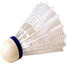 Badminton_Small